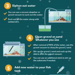 Stick Vacuum Cleaner How to Clean a Fish Tank