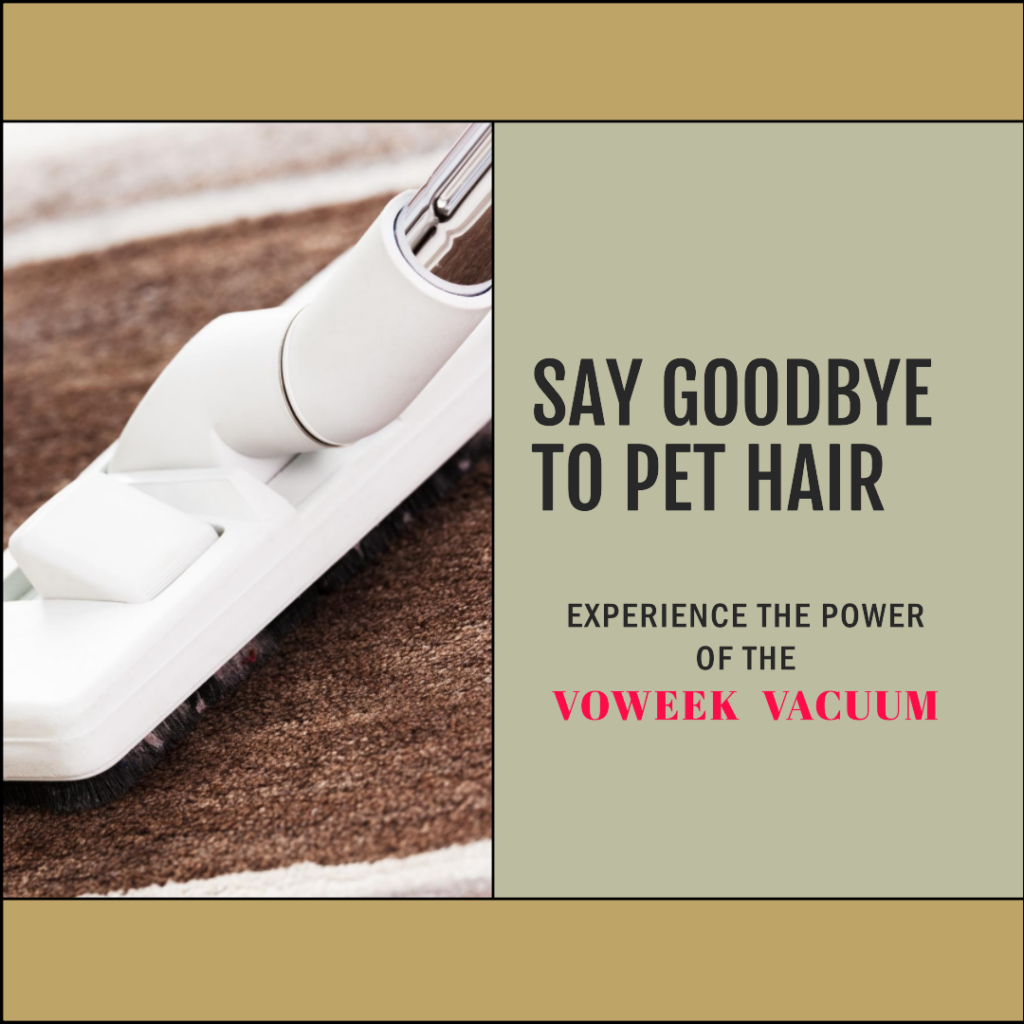 Woman using a Voweek vacuum to clean up pet hair on carpet floors.